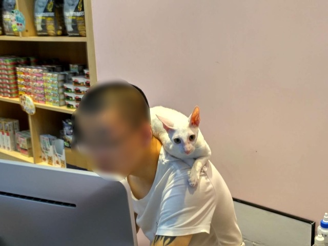 07D58C22-9B44-42BD-887F-3ABA621FD872.jpeg