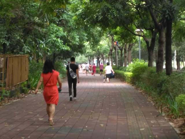 34785554-DACD-47B1-A8A7-DCF83FE7BABE-14311-00000B74DD20500C_tmp.jpg