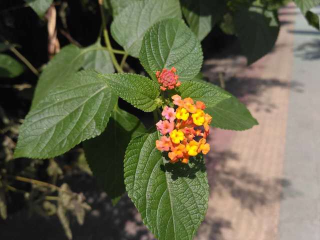 43E33C32-73C5-4ABB-B261-88B2551F8F2D.jpeg