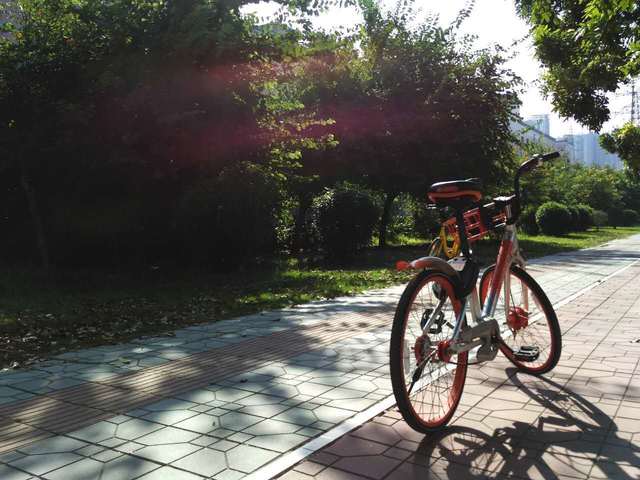 8602F657-A8D4-439B-B0E4-773D0DBC4D49.jpeg
