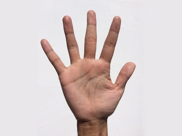 E3FA9015-470E-4445-A7D1-E2C076968E93.jpeg