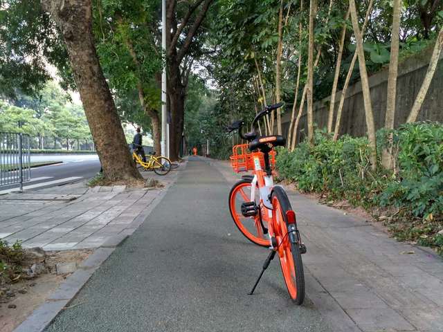 FAFF7D36-DACF-4483-A6A9-35D24D70A068.jpeg