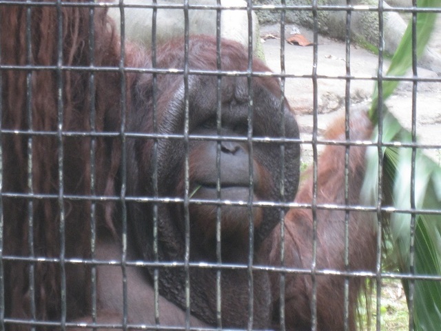 IMG_3824.JPG