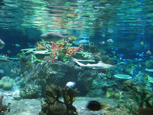 IMG_5879.JPG