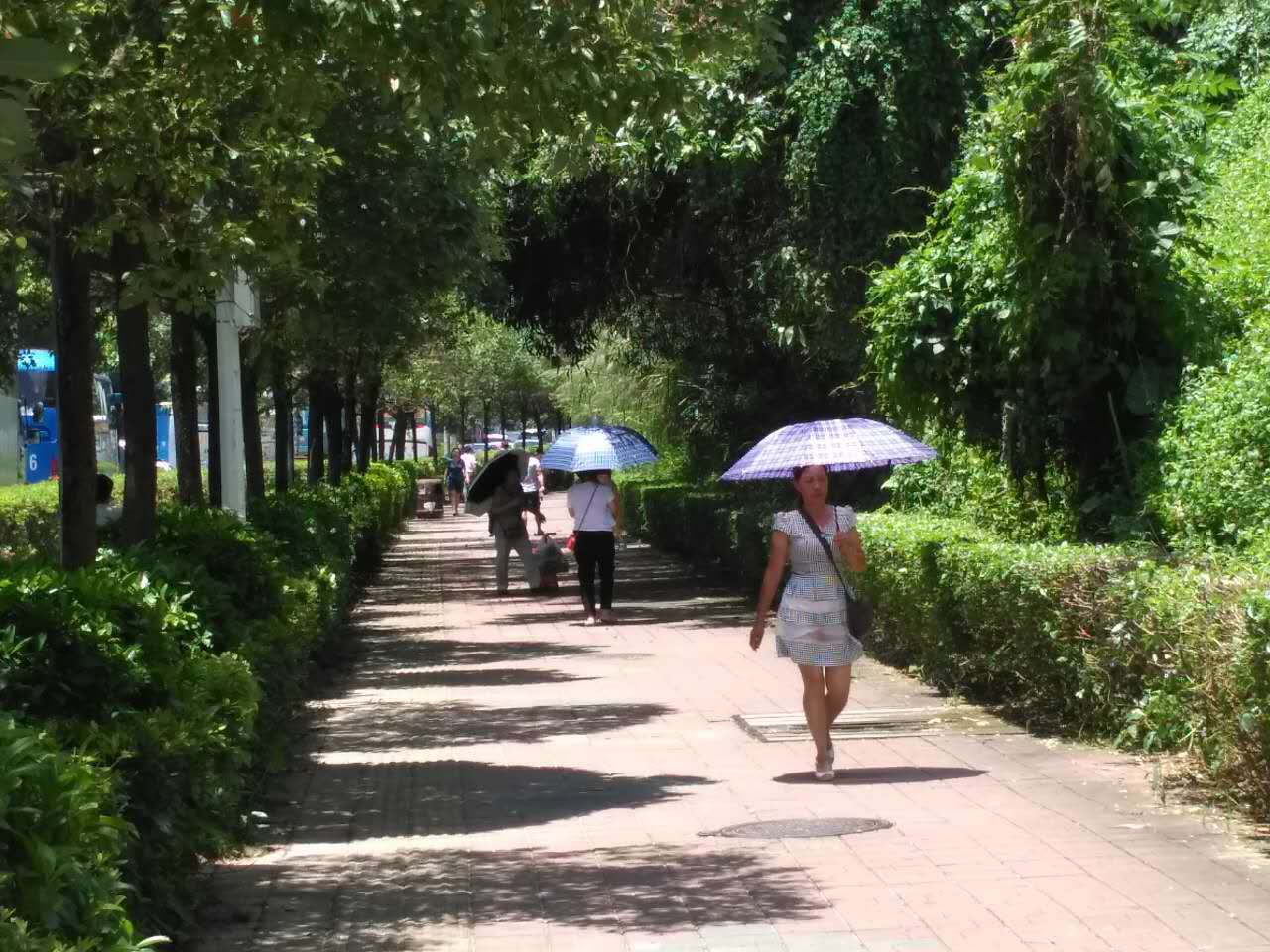 深セン香港の天気 台風 深セン 香港の観光旅行生活情報局