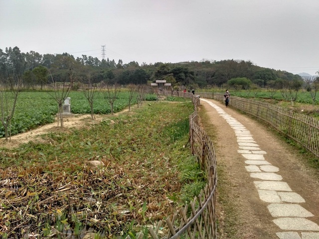 banhua (22).jpg