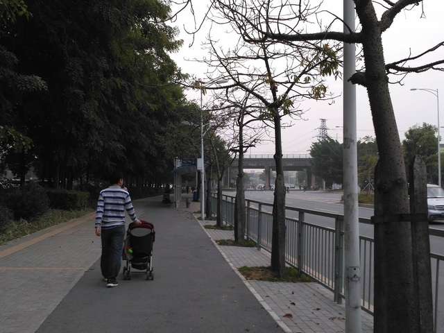 bitou (14).jpg