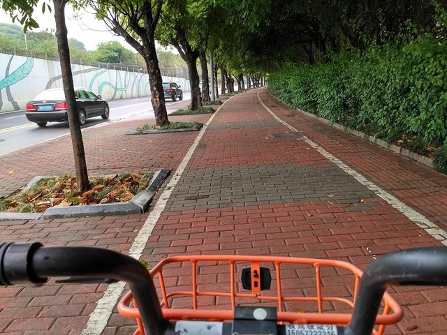 cycling (10).jpg