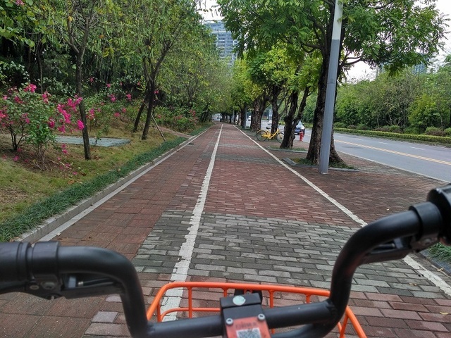 cycling (6).jpg
