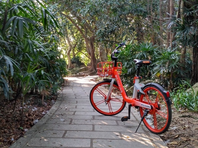 donghu (7).jpg