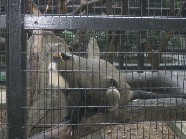 hkzoo (8).JPG