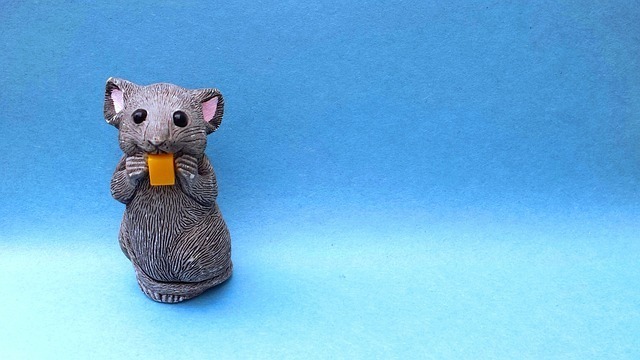mousy-620527_640.jpg